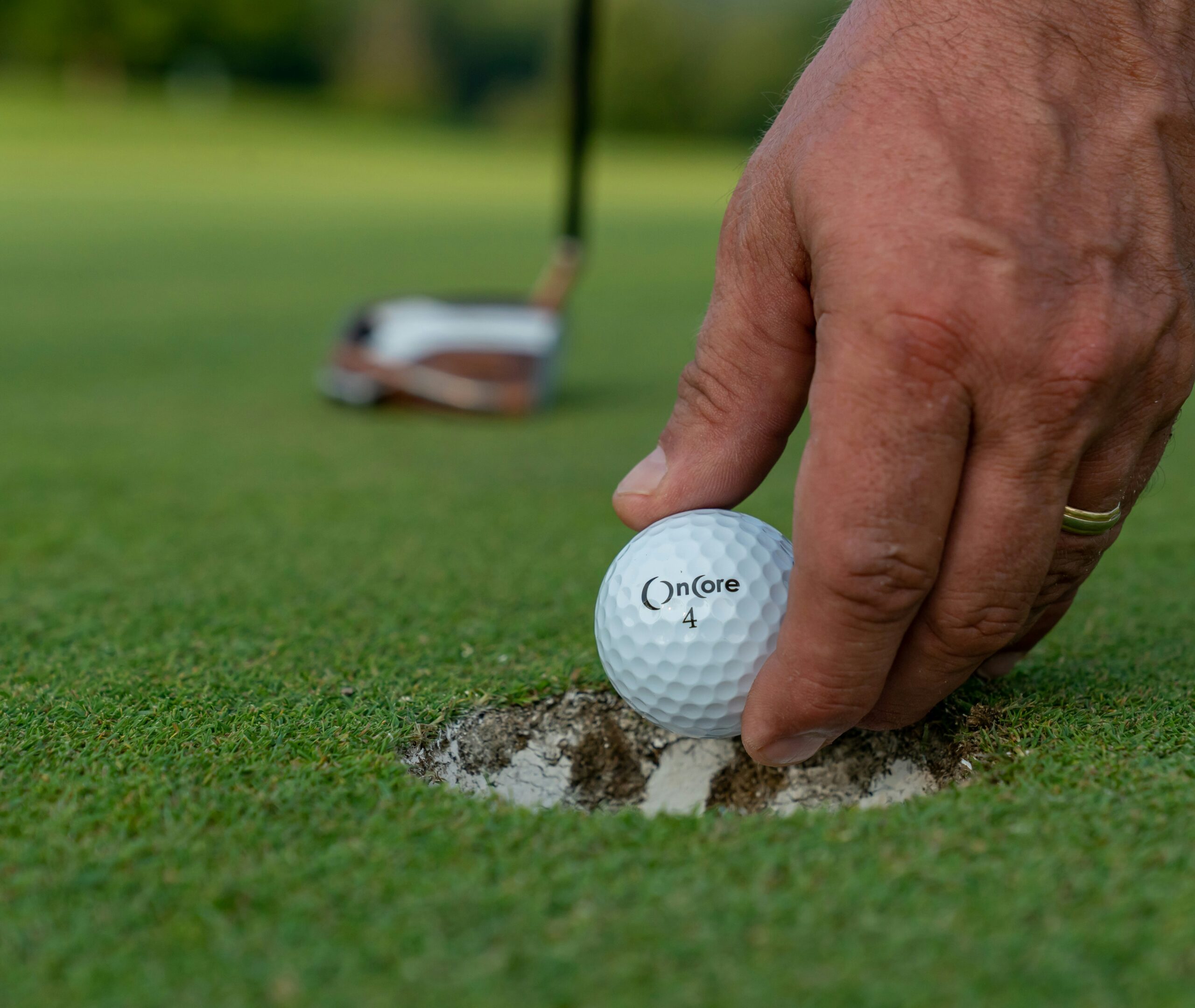 Matthew McLaughlin-Golf Course Management